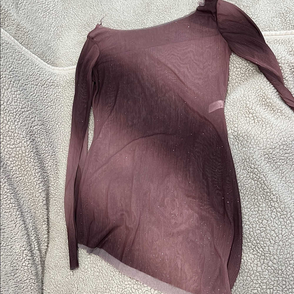 balera Plum Sheer Mesh Top with Subtle Sparkle